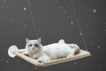 Fensterliege für Katzen