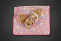 Flauschige Pfötchen-Kuscheldecke für Hunde & Katzen | Zampa King