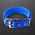 Premium Hundehalsband