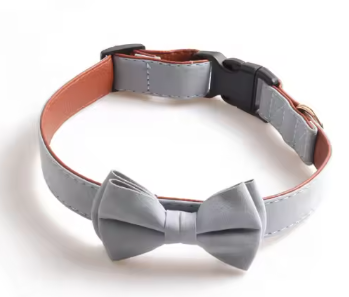 Hundehalsband und Leine