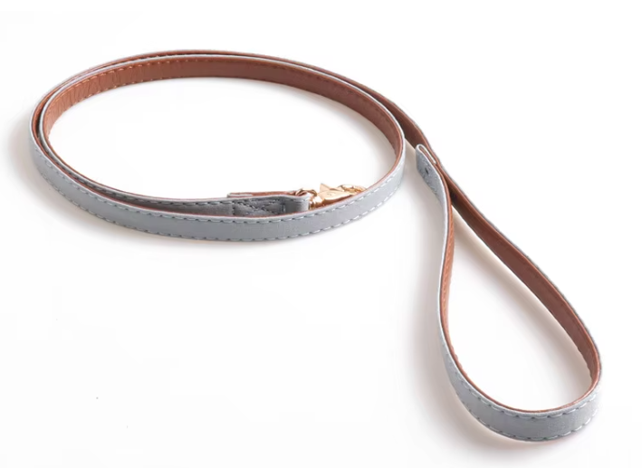 Hundehalsband und Leine