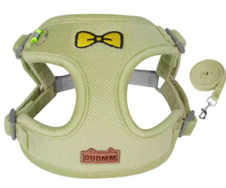 Hundegeschirr mit Leine