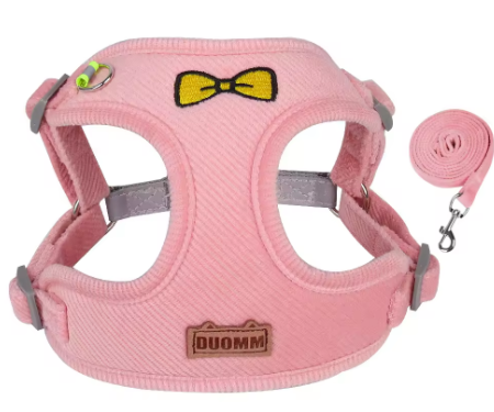 Hundegeschirr mit Leine