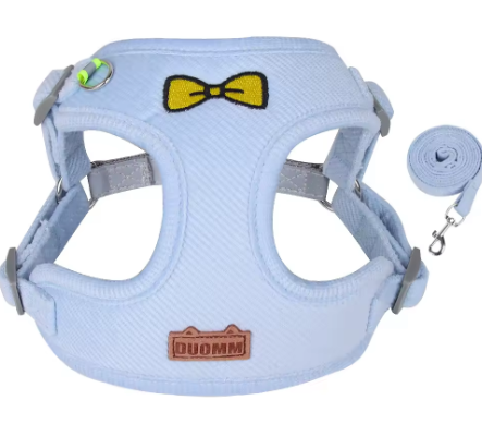 Hundegeschirr mit Leine