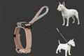 Hundehalsband verstellbar bis XL – robust, sicher & komfortabel | Zampa King
