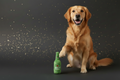 Lustiges Plüsch-Bier Spielzeug – Witziges Kauspielzeug für Hunde & Katzen