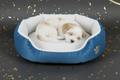 Klassisches Kuschelbett "Soft Nest" – Komfortabler Schlafplatz für Hunde & Katzen