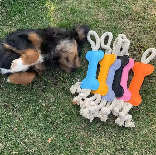 Hundespielzeug Knochen mit Seil