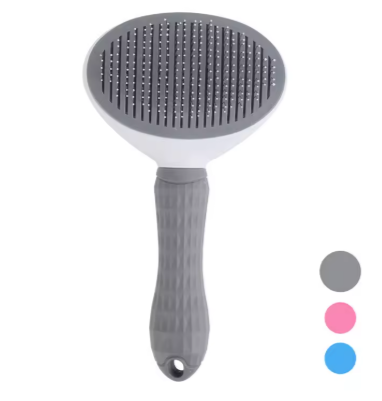 Selbstreingenden Pflegebürste