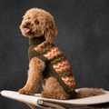Alqo Wasi – Forest Chevron Alpaka Hundepullover