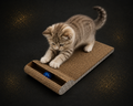 Kratzbrett mit Ball – Katzen Spiel & Kratzmatte