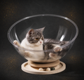 Drehbares Katzenbett – Schlaf & Spiel in einem