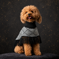 Alqo Wasi – Diamond Black Alpaka Hundeponcho