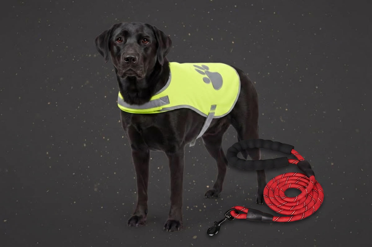 Hunde Sicherheits-Set | Reflektierende Hundeleine & Sicherheitsweste