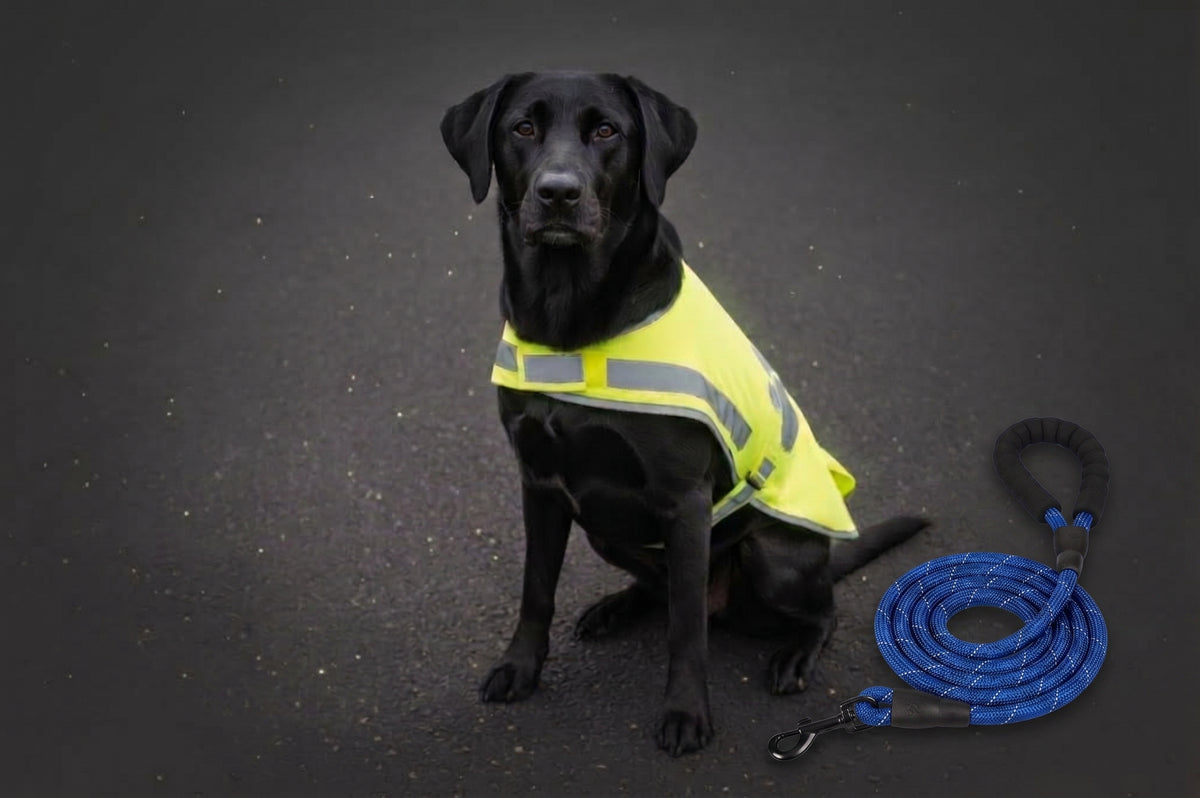 Hunde Sicherheits-Set | Reflektierende Hundeleine & Sicherheitsweste