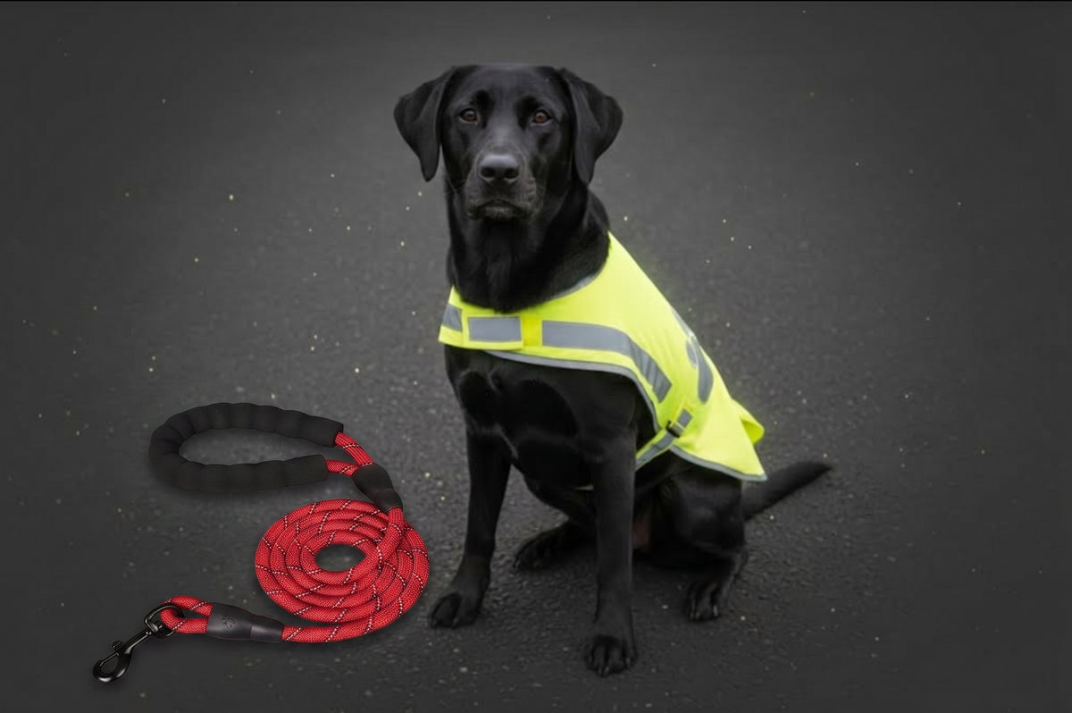Hunde Sicherheits-Set | Reflektierende Hundeleine & Sicherheitsweste