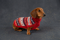 Alqo Wasi – Heritage Alpaka Hundepullover