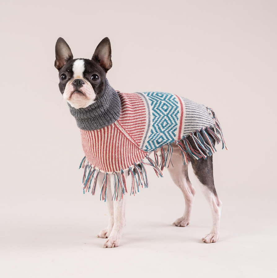 Alqo Wasi – Muted Strings Alpaka Hundeponcho
