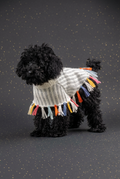 Alqo Wasi – Rainbow Fringe Alpaka Hundeponcho