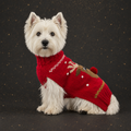 Alqo Wasi – Red Rudolph Alpaka Hundepullover