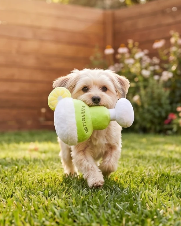 Muttgarita Cocktail-Plüschspielzeug für Hunde mit Quietscher
