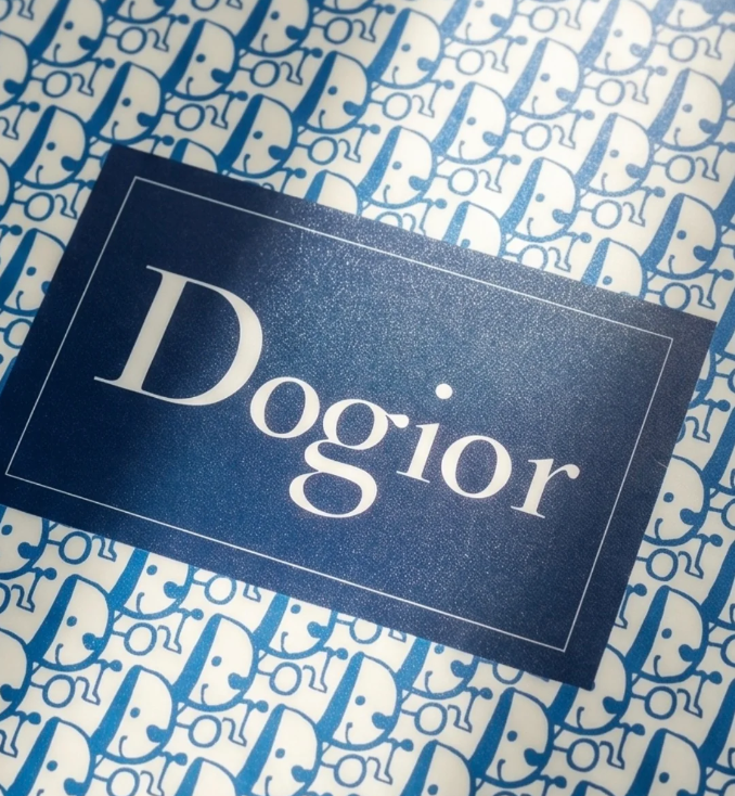 Dogior Napfunterlage für Hunde – Blaues Monogramm