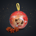 DoggyeBag Christmas Ball – Weihnachtsspielzeug für Hunde