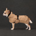 PAIKKA Visibility Lite Regenmantel für Hunde – Taupe