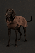 PAIKKA – Seawool Hundeshirt Choco