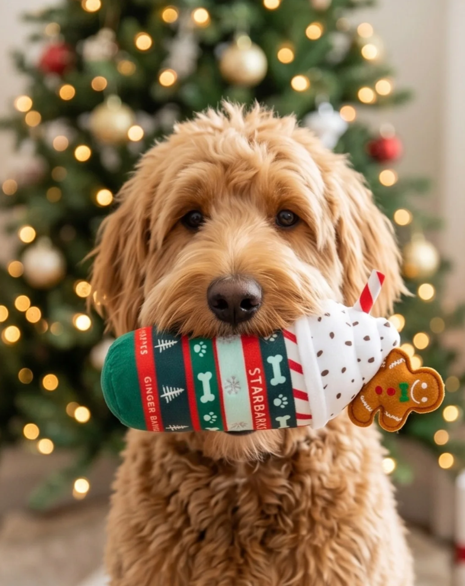 Starbarks Ginger Bark Latte Plüsch-Hundespielzeug
