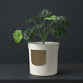 Hidden Planter – Pflanztopf mit Geheimversteck