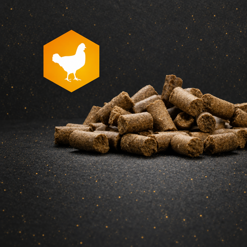AktivDog Belohnungsleckerli Huhn (250 g Gefäss)