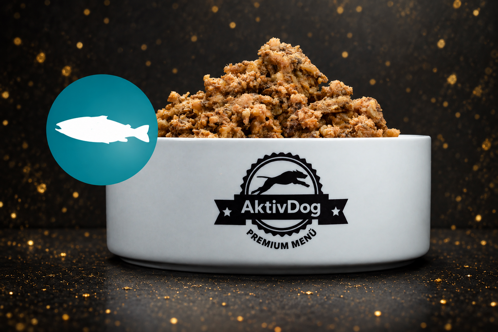 AktivDog Premium Menü Lachs mit Pastinaken (500 g Gefäss)