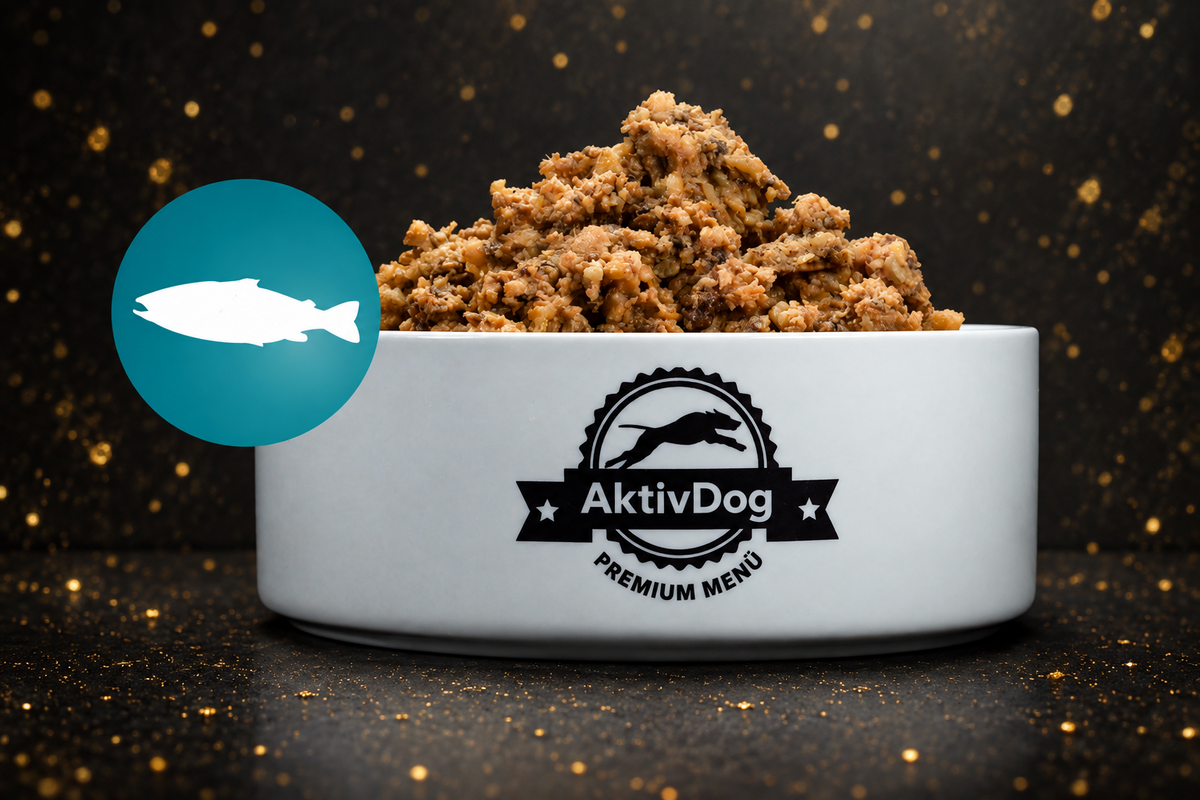 AktivDog Premium Menü Lachs mit Pastinaken (500 g Gefäss)
