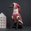Alqo Wasi – Christmas Snowflake Red Alpaka Hundepullover | Zampaking